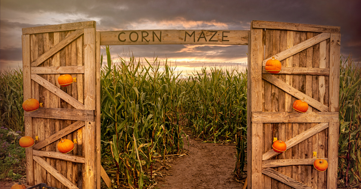 A List of Fun Fall Activities to do This Fall Across the Denver Metro Area