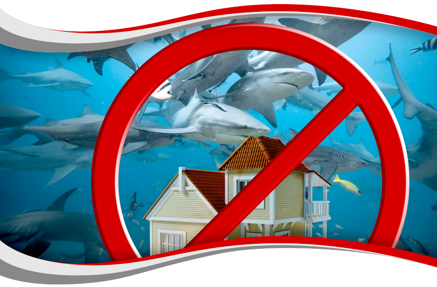 02-05-26_Feb Market Update_inset_full-width_wave&fade-850pxw.jpg