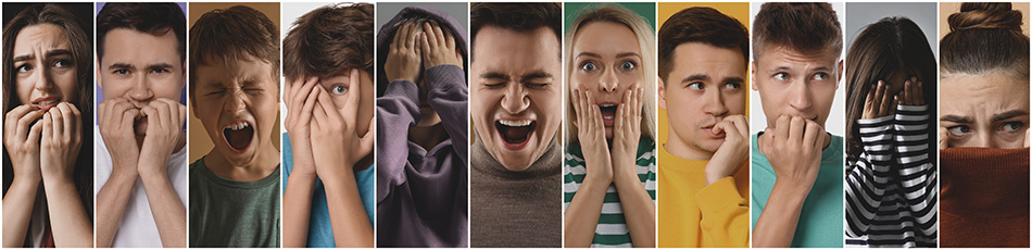 insetshutterstock_2700389033.jpg