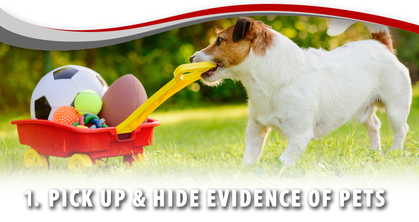 1. Pick Up & Hide Evidence of Pets