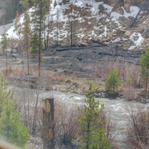 MLS)»25_8671 CSH 125.jpg