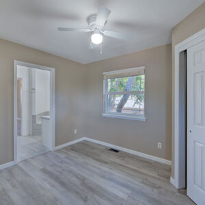 31)» 1998_Xenon-Ct.jpg