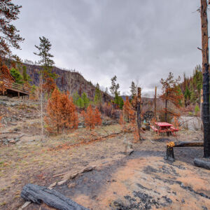 MLS)»06_8671 CSH 125.jpg