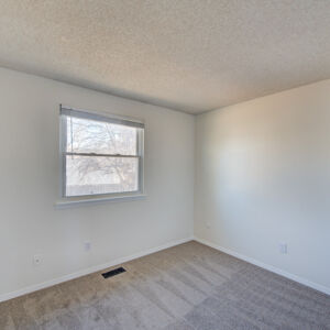 019)» 8428_Sandreed-Cir.jpg