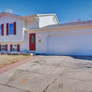 037)» 8428_Sandreed-Cir.jpg