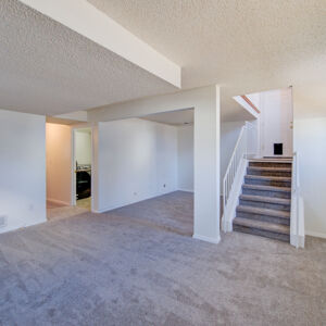 021)» 8428_Sandreed-Cir.jpg