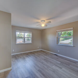 37)» 1998_Xenon-Ct.jpg