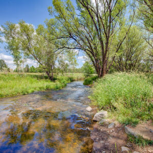 59)» 1839_Caleta-Trail.jpg