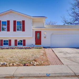 001)» 8428_Sandreed-Cir.jpg