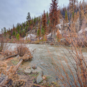 MLS)»07_8671 CSH 125.jpg