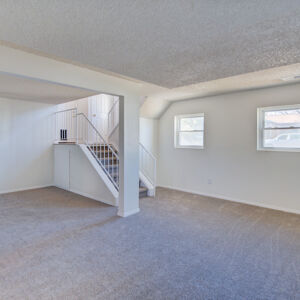 022)» 8428_Sandreed-Cir.jpg