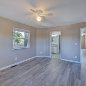 36)» 1998_Xenon-Ct.jpg