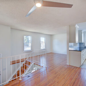 008)» 8428_Sandreed-Cir.jpg