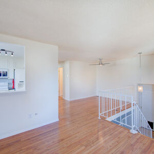 004)» 8428_Sandreed-Cir.jpg