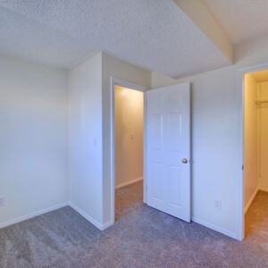 032)» 8428_Sandreed-Cir.jpg