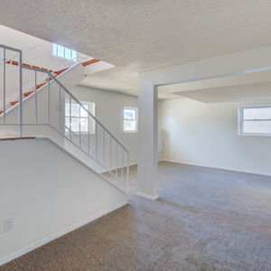 024)» 8428_Sandreed-Cir.jpg