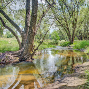 58)» 1839_Caleta-Trail.jpg