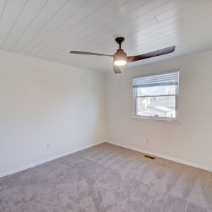 015)» 8428_Sandreed-Cir.jpg