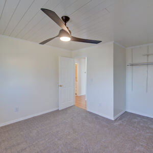 016)» 8428_Sandreed-Cir.jpg