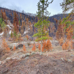 MLS)»30_8671 CSH 125.jpg