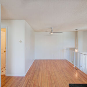 007)» 8428_Sandreed-Cir.jpg