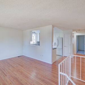 003)» 8428_Sandreed-Cir.jpg