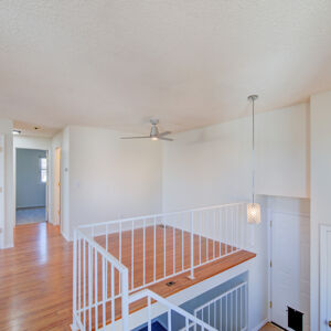 006)» 8428_Sandreed-Cir.jpg