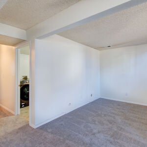 023)» 8428_Sandreed-Cir.jpg