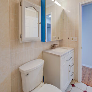 018)» 8428_Sandreed-Cir.jpg