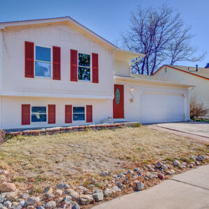 002)» 8428_Sandreed-Cir.jpg