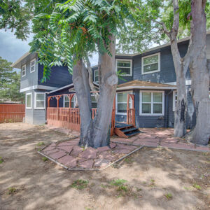 44)» 1998_Xenon-Ct.jpg