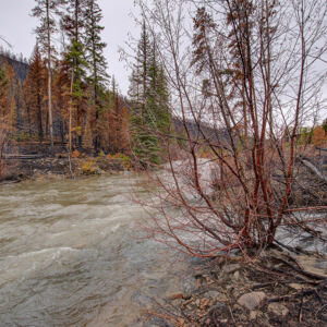 MLS)»08_8671 CSH 125.jpg