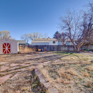 036)» 8428_Sandreed-Cir.jpg