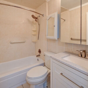 017)» 8428_Sandreed-Cir.jpg